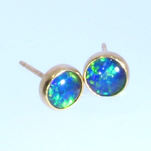 opal-gull